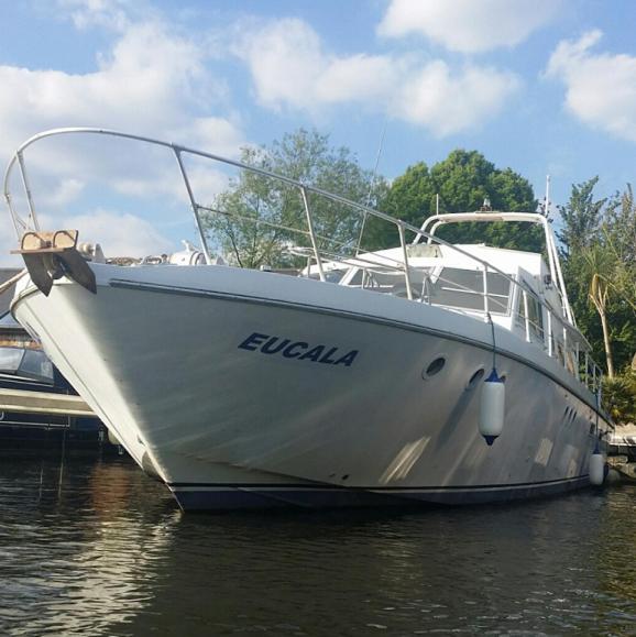 Hôtel Eucala Motor Yacht à East Molesey Extérieur photo